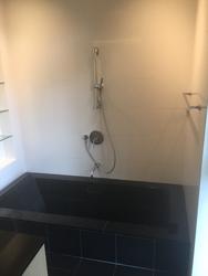 Robertson Blue (D9), Apartment #108306942